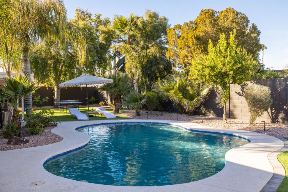Transitional pool photo in Phoenix