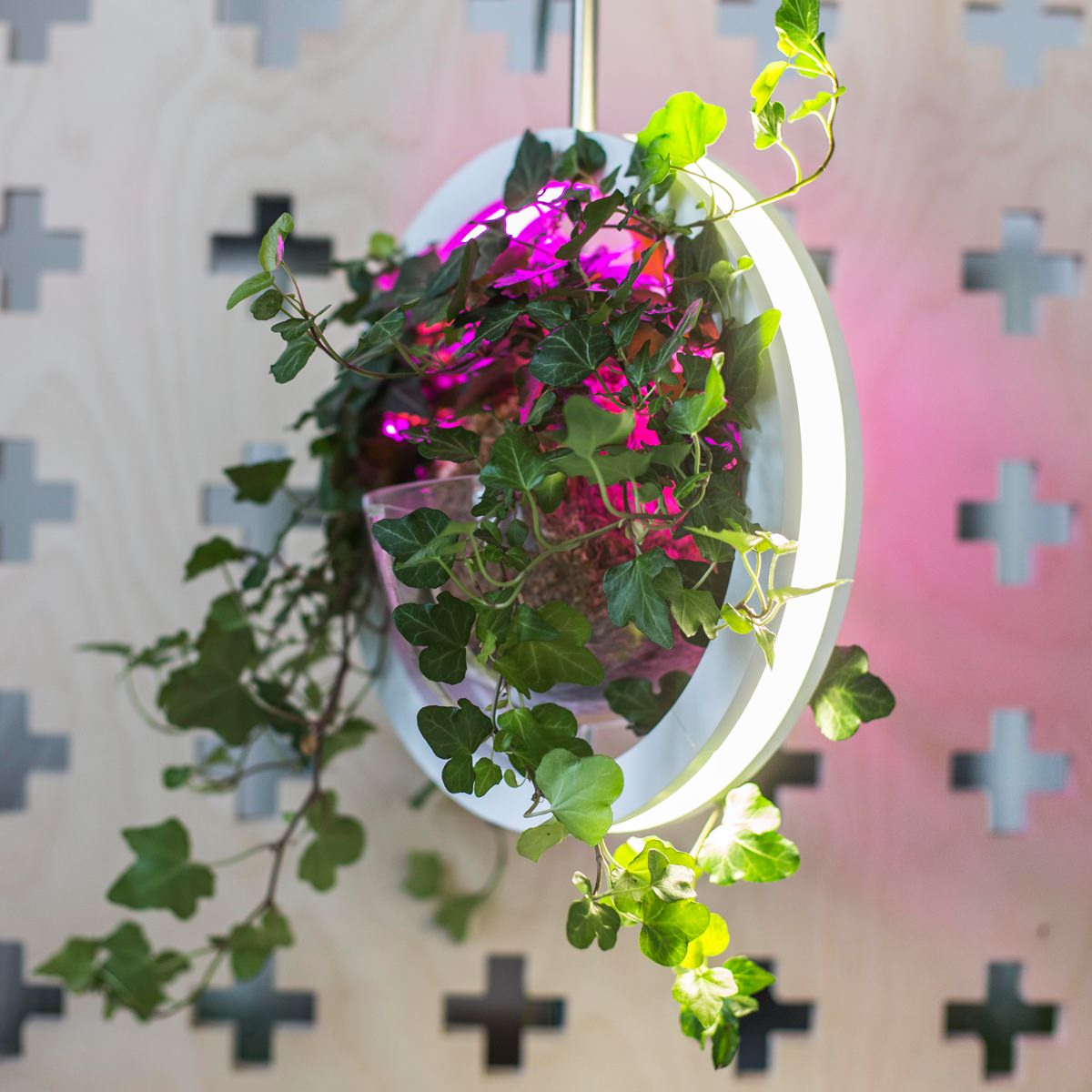 Woodled| Фитолампа