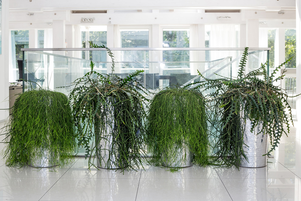 Частный интерьер, загородный дом