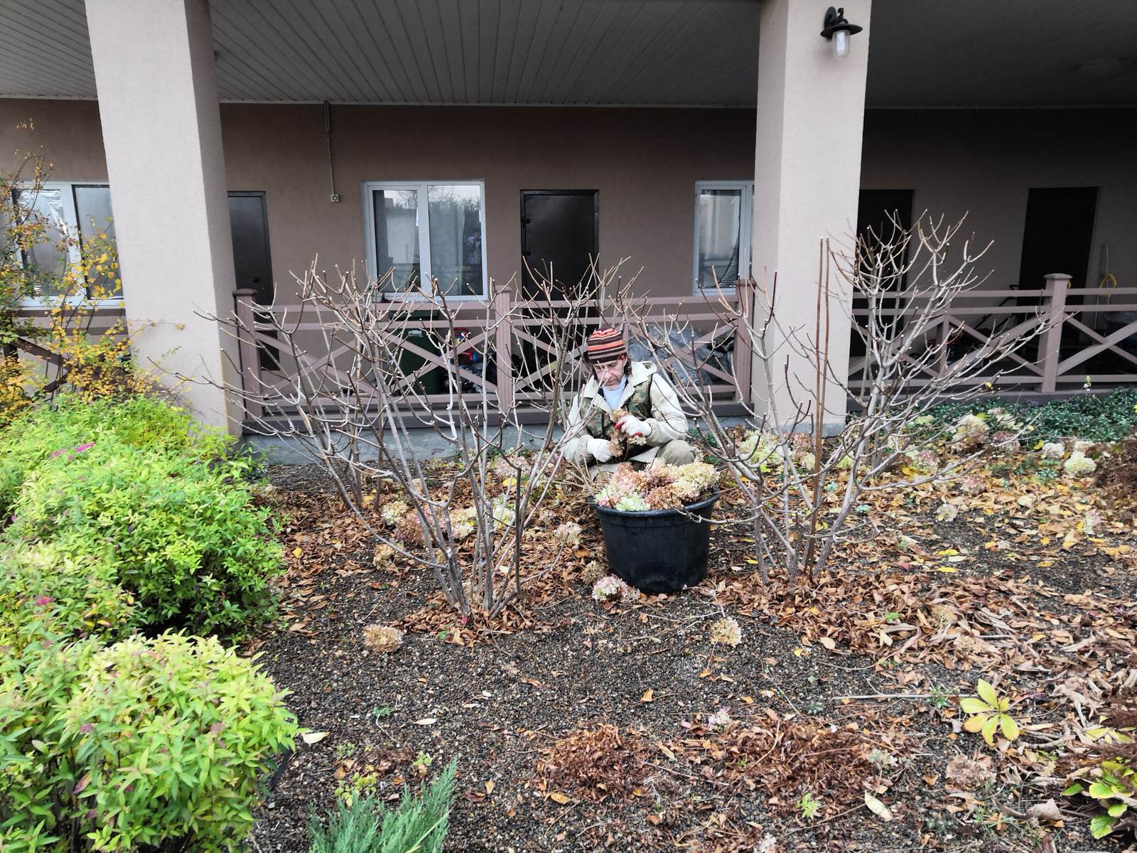 Уходные работы в саду