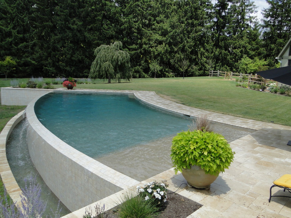 Infinity Edge Elements Lower Merion, PA Traditional Pool