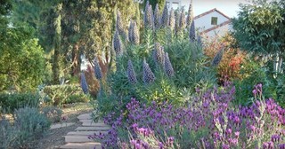 Karen Aitken & Associates - American Southwest - Garden - San Francisco