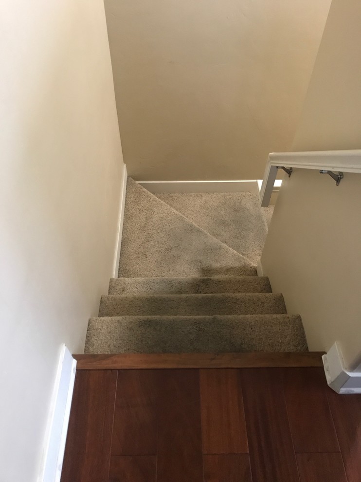 help! what color carpet should I get ?! ASAP