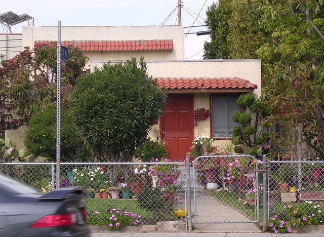 windowboxes 