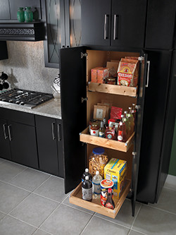 Cabinets in Black2