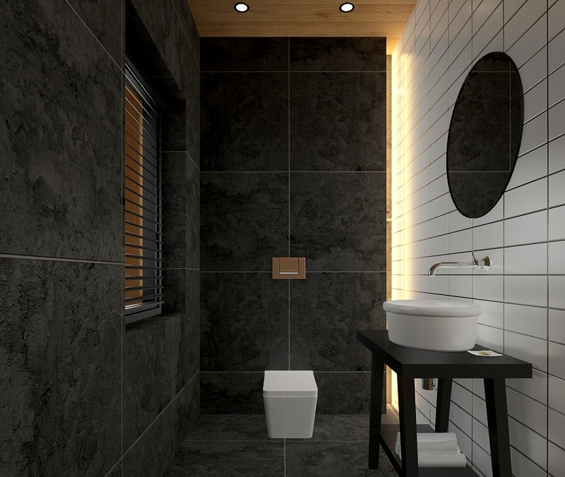 Дизайн-проект интерьера жилого дома с баней