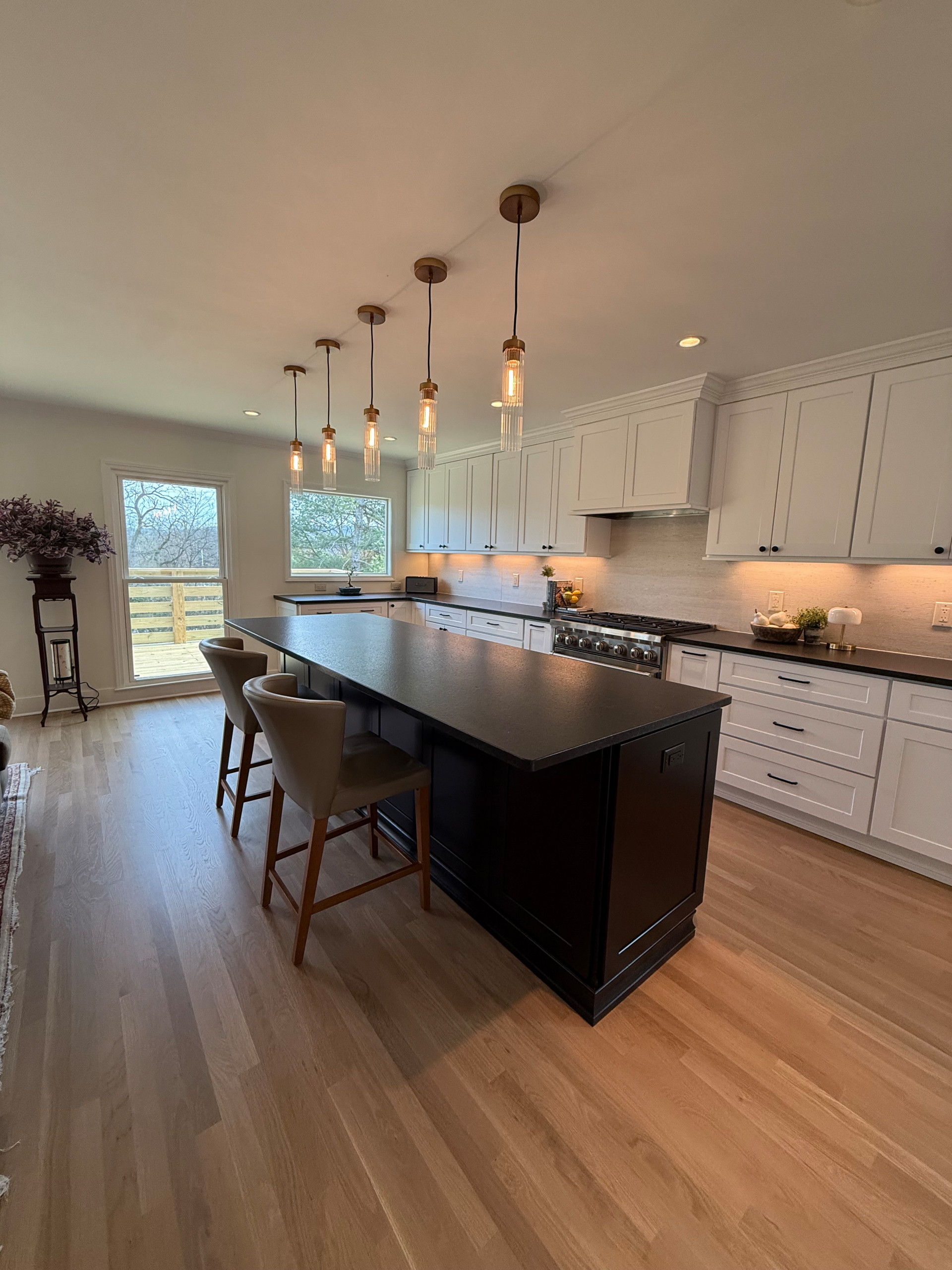 Franklin Complete Kitchen and LR Reno