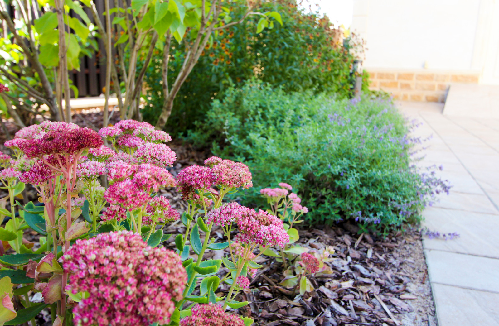 Павлово-2, 2022-2024 г.г.