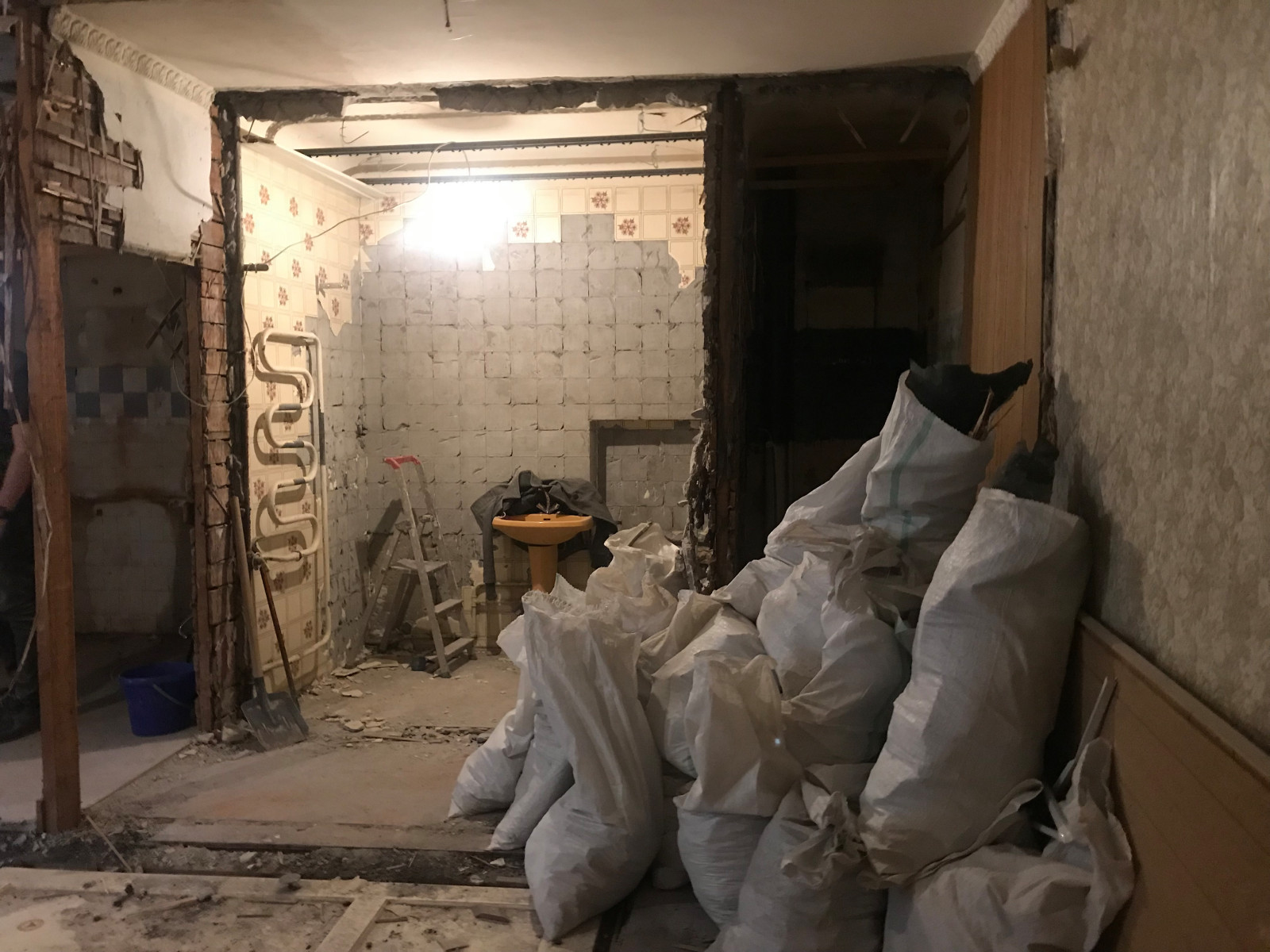 Проект Манежный