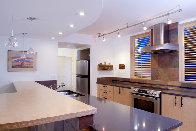 condo renovation contemporary-kitchen