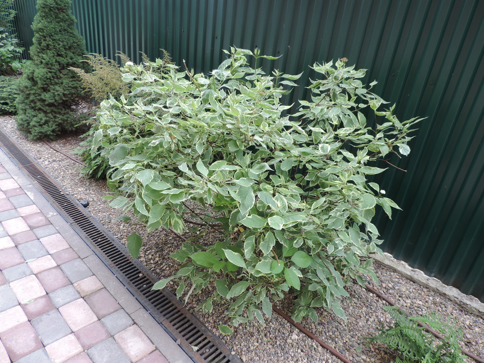 Наши работы