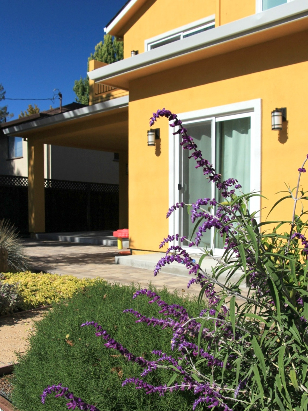 Vivide colors garden