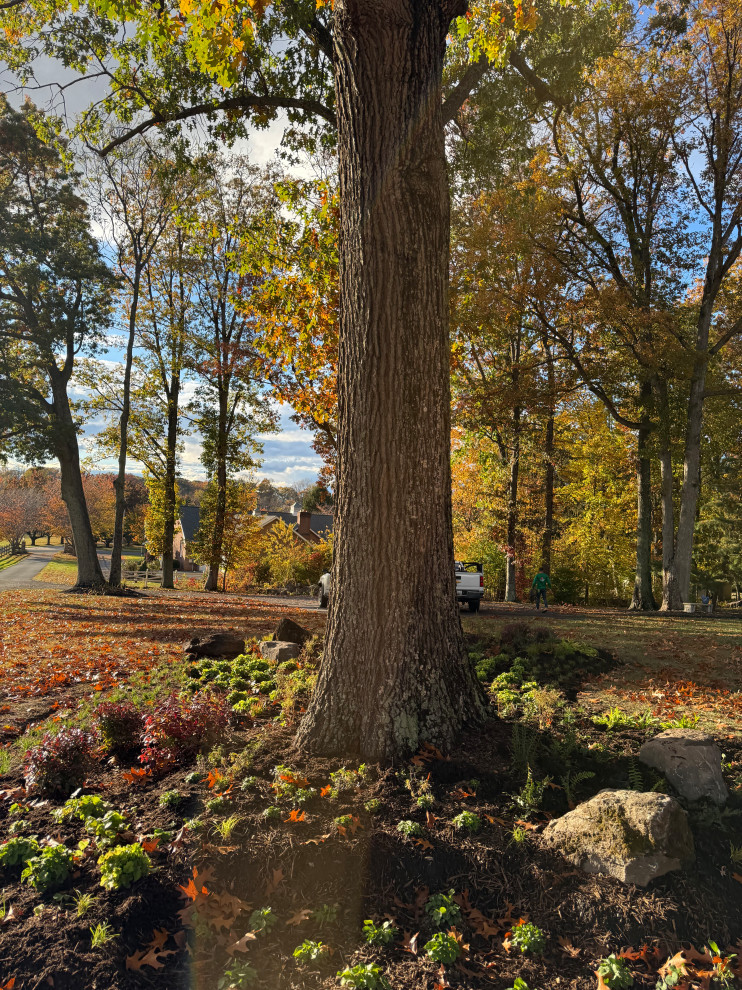 Impactful, serene and native entrance.