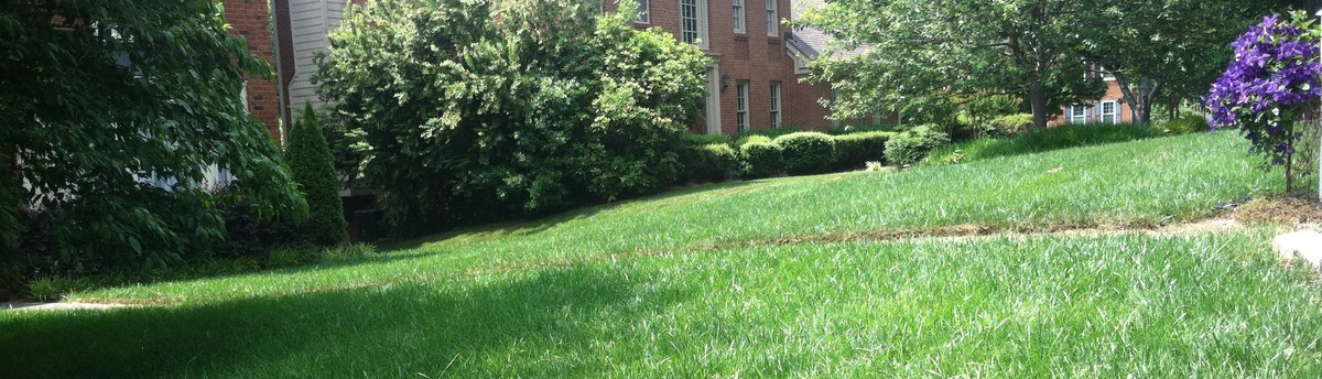 Fresh Cut Lawn Care Acworth Ga Us 30102