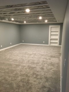 Lower Level Remodel