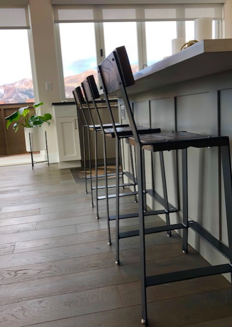 Transitional home design photo in Denver