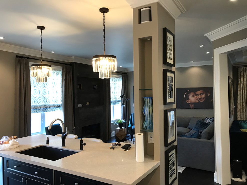 Mississauga Remodel