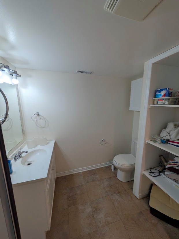 Basement Design+Build - Painting