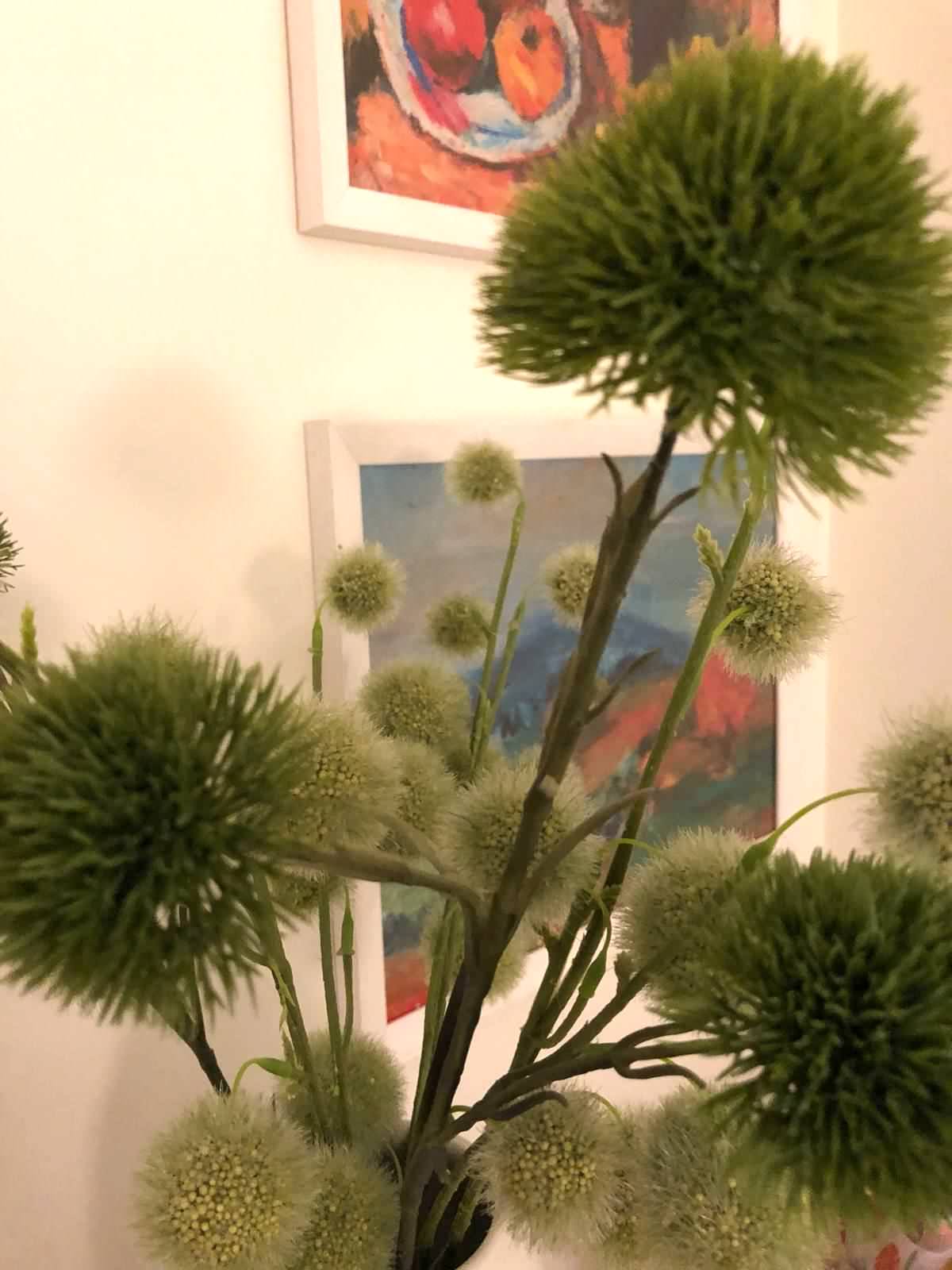 Grüne Kugelblume -Allium