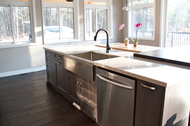 Apron Sink transitional-kitchen