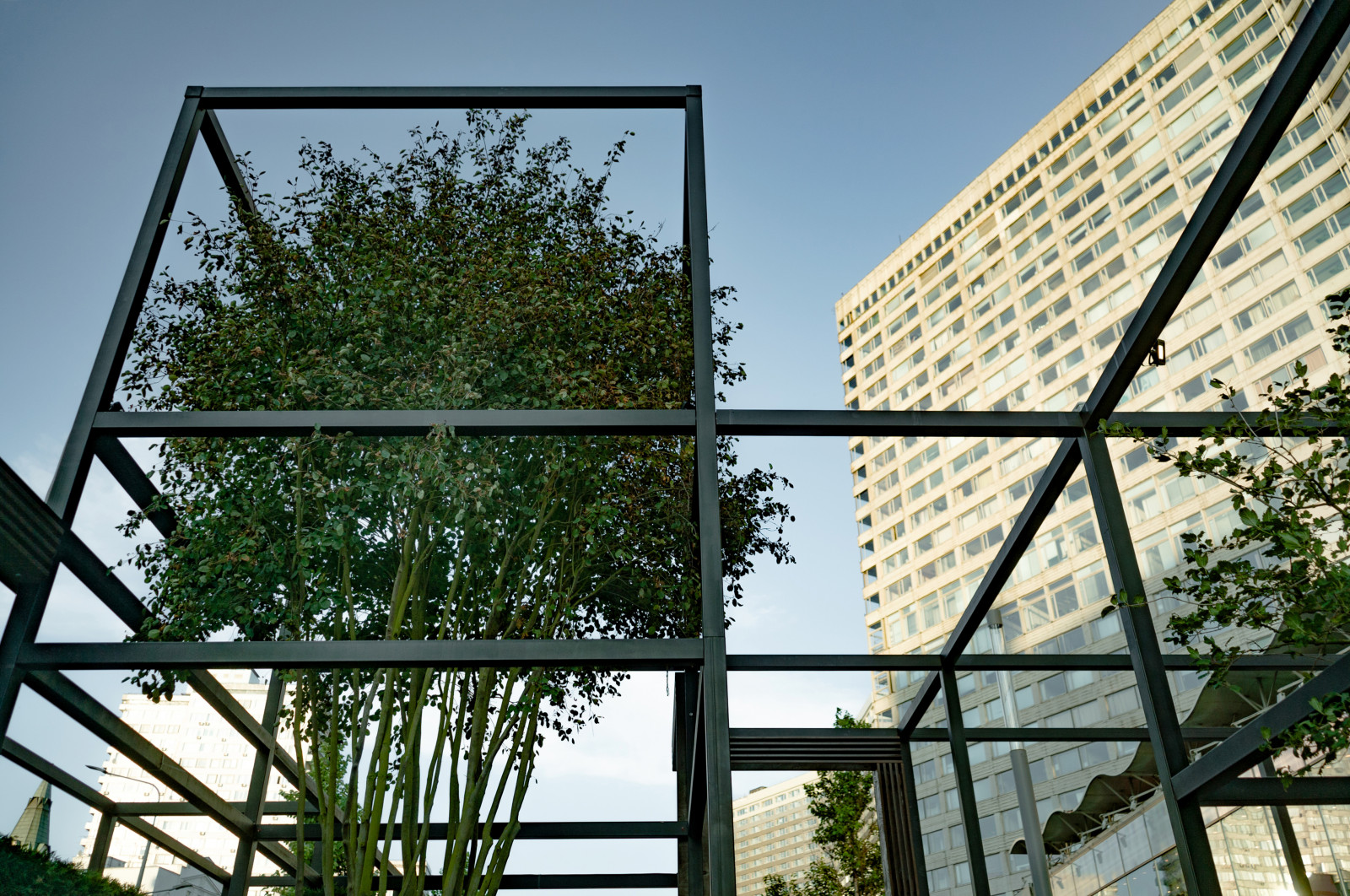 Архитектура природы