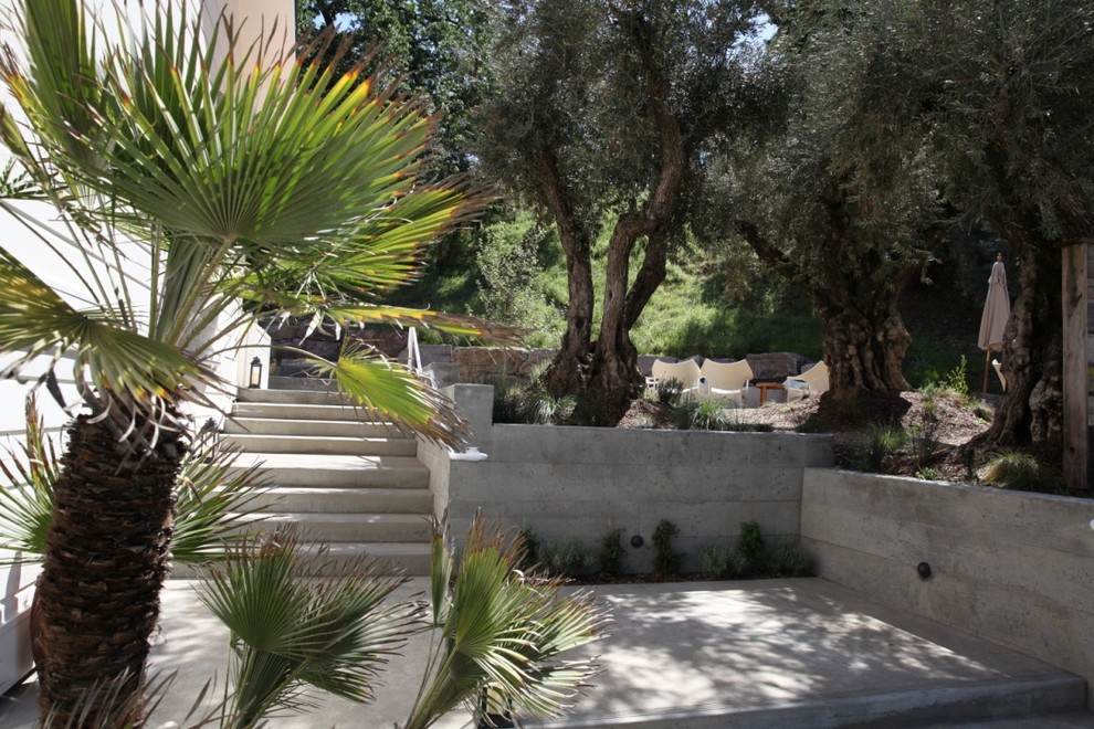 This is an example of an expansive mediterranean garden in San Francisco.