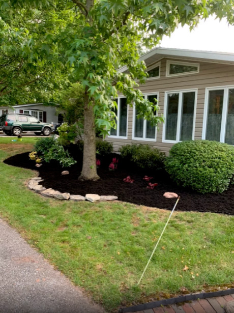 Softscape Projects