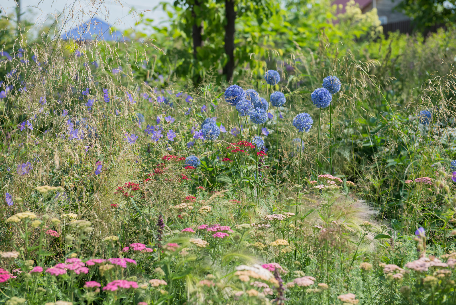Большой сад в пригороде