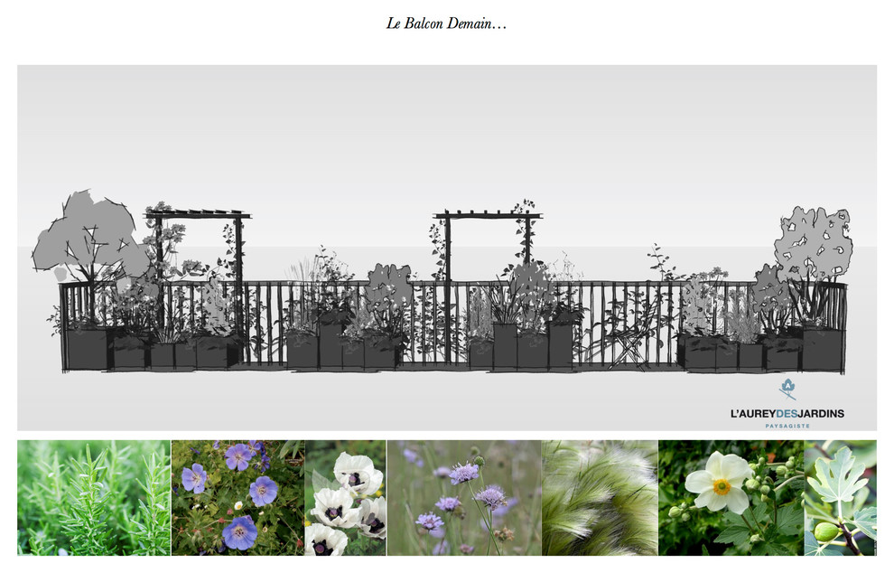 Design ideas for a small balcony in Paris with a container garden and a pergola.