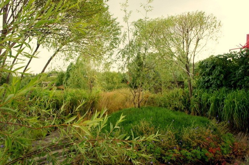 Мини-сад "Ветер в ивах"