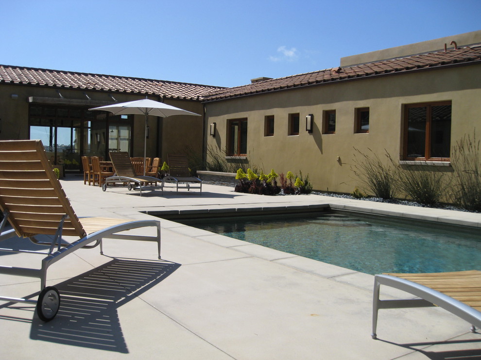 This is an example of a contemporary courtyard pool in San Diego.