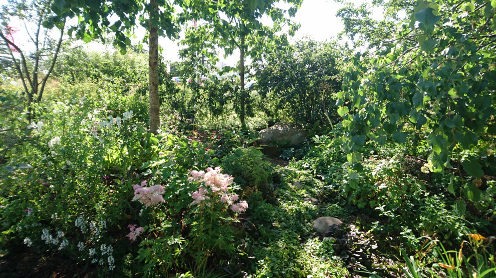 Immagine di un piccolo giardino formale rustico esposto in pieno sole dietro casa con un ingresso o sentiero