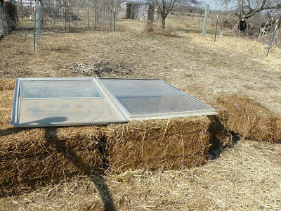 Hay Bale Cold Frame