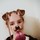 lilou_imbault