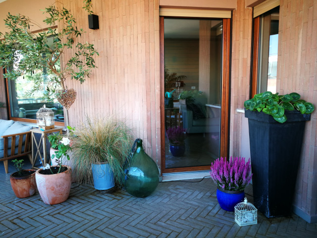 Terrazzo  Coviello shabby-chic-style-deck