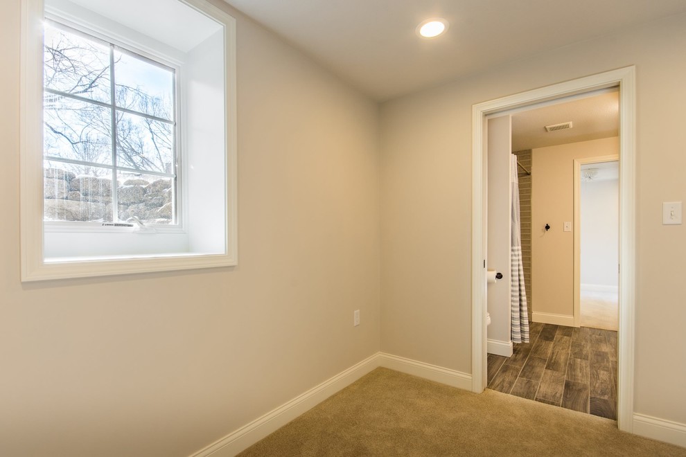 Basement - transitional basement idea