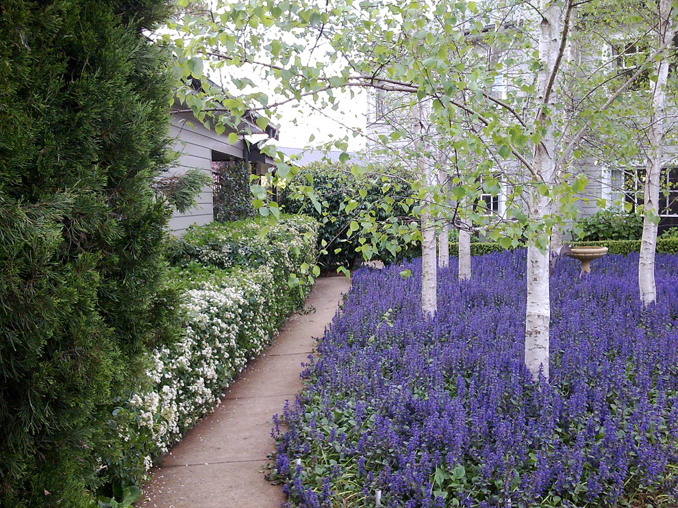 Immagine di un giardino eclettico