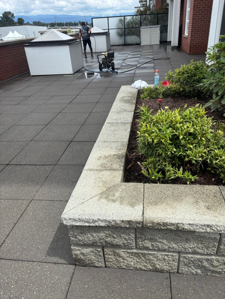 4340-2180 Kelly Ave Coquitlam planter removal and pressure washing