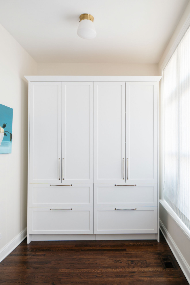 Kitchen pantry - mid-sized transitional dark wood floor kitchen pantry idea in Chicago with shaker cabinets, white cabinets, stainless steel appliances and an island