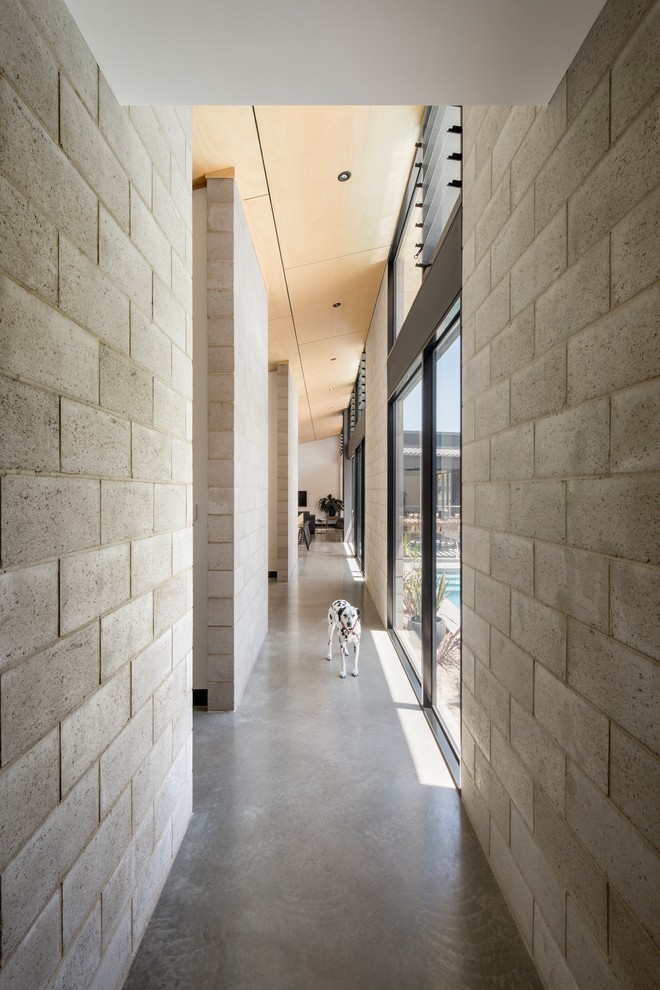 Inspiration for a large contemporary hallway in Adelaide with concrete floors.