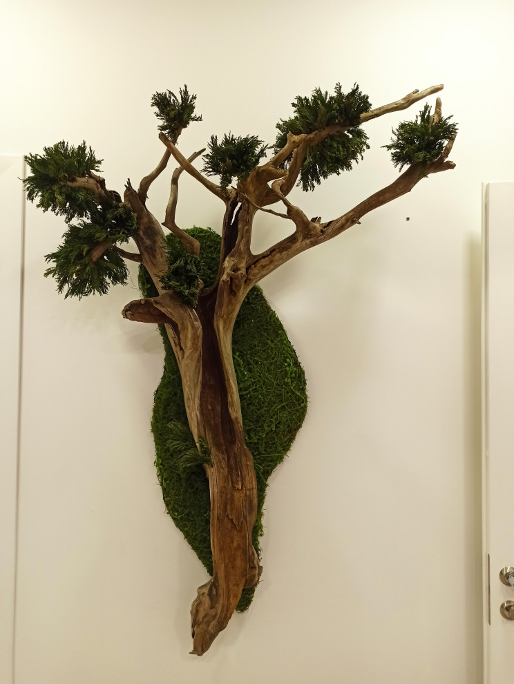 Фигурный бонсай для частного дома