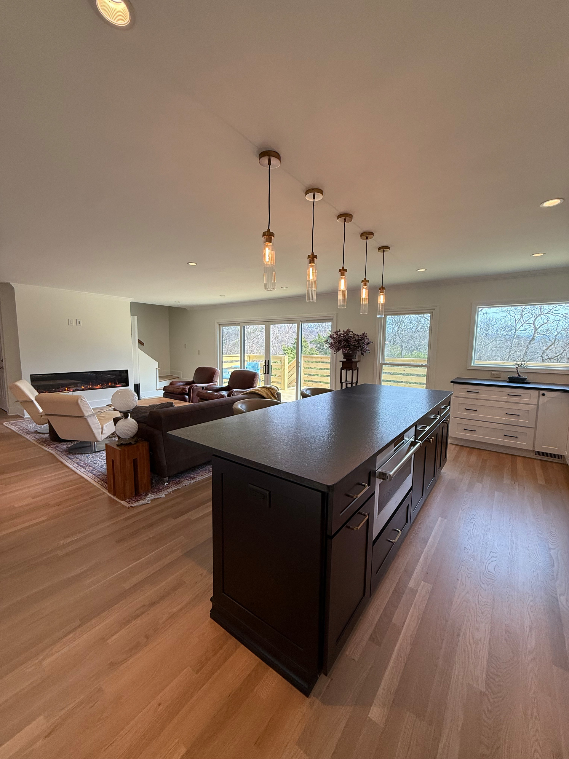 Franklin Complete Kitchen and LR Reno