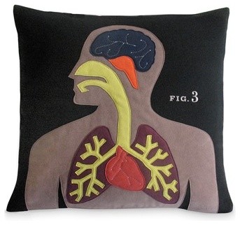 Science Project Pillow - Anatomy