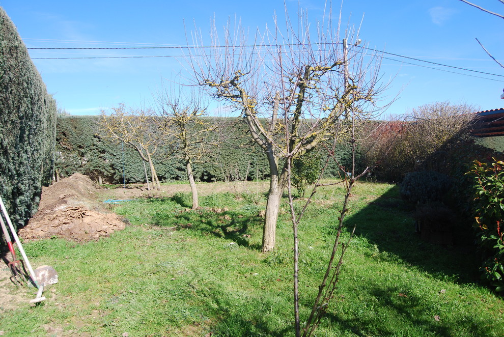 Nuevos aires en el campo palentino