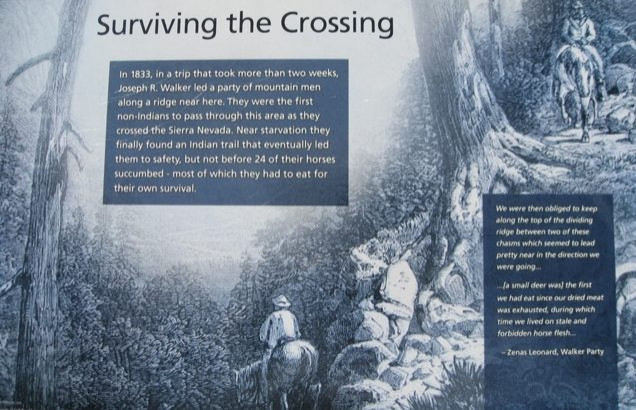 Surviving The Crossing