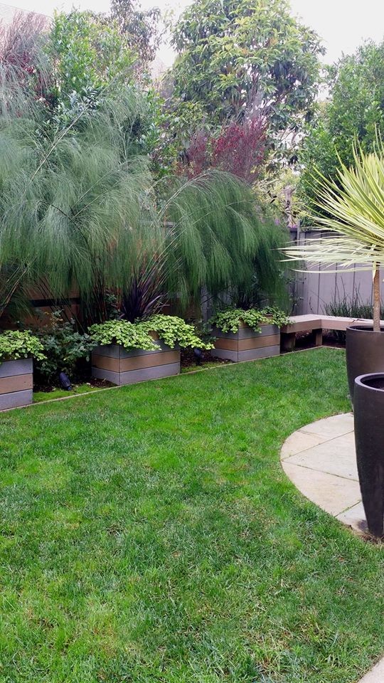 This is an example of a mid-sized modern backyard garden in San Francisco with concrete pavers.