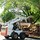 Torres Tree Services