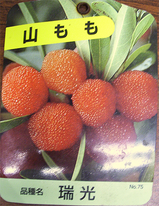 Japanese plant label translation