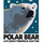 Polar Bear Air Conditioning & Heating Inc.