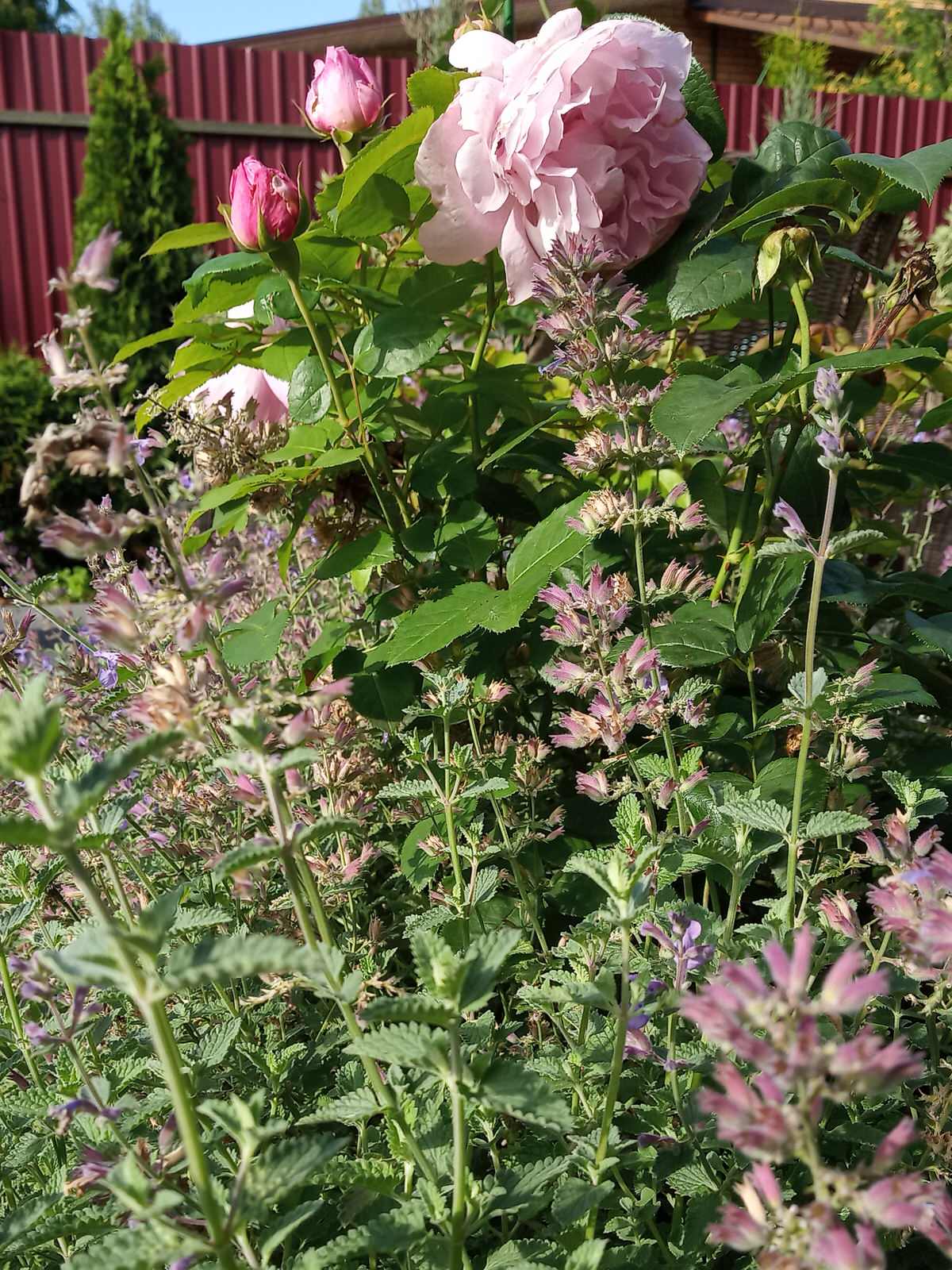 Патио в английском стиле